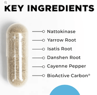 Thumbnail for CardioImmune Cell Core Supplement - Conners Clinic