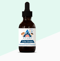 Thumbnail for Kids Trifal Drops 2 fl oz    * Ayush Herbs - Conners Clinic