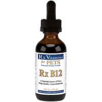 Thumbnail for Rx B12 4 fl oz for pets Rx Vitamins for Pets Supplement - Conners Clinic