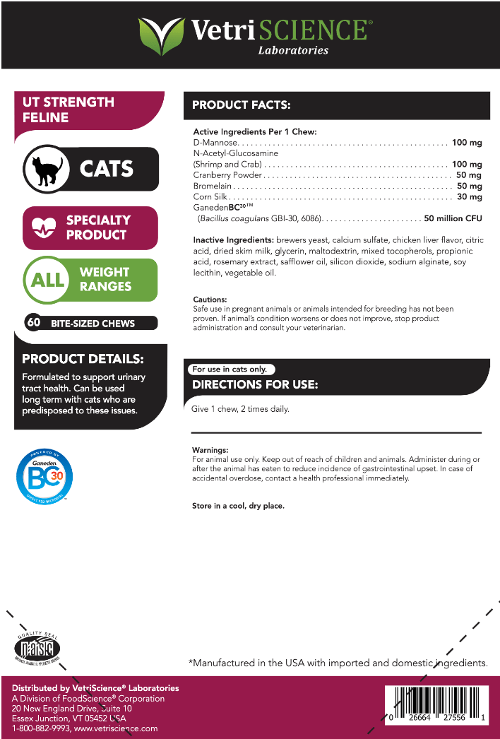 UT Strength Feline Chews 60 chews VetriScience Supplement - Conners Clinic
