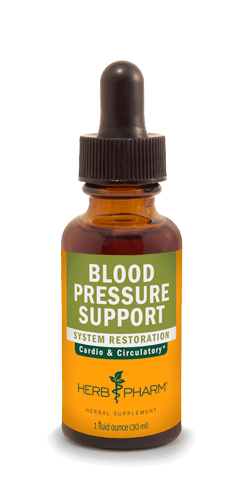BLOOD PRESSURE SUPPORT 1 fl oz *