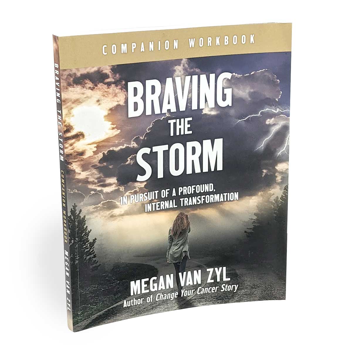 Braving the Storm by Megan Van Zyl - Paperback, Workbook, or Bundle Conners Clinic Book Workbook - Conners Clinic