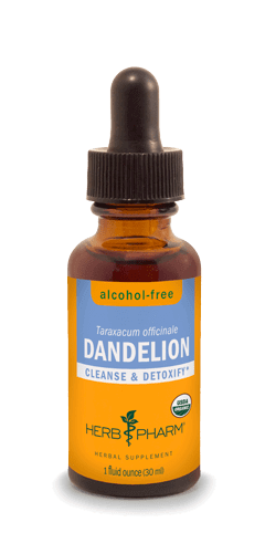 DANDELION ALCOHOL FREE 1 fl oz Herb Pharm Supplement - Conners Clinic