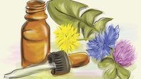 Thumbnail for Dr. Conners Lyme Homeopath #1 Conners Clinic Supplement - Conners Clinic