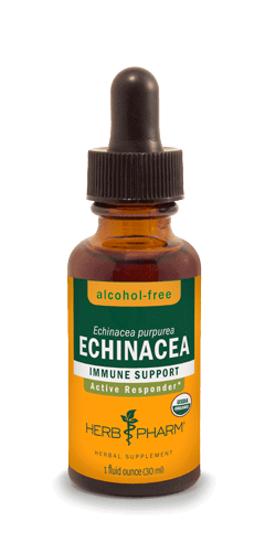 ECHINACEA ALCOHOL FREE 1 fl oz Herb Pharm Supplement - Conners Clinic