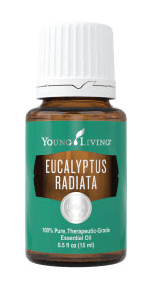 Eucalyptus Radiata Essential Oil - 15ml Young Living Young Living Supplement - Conners Clinic
