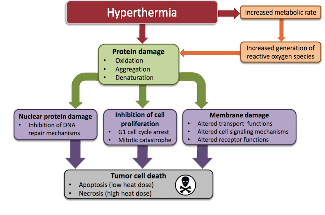 Hyperthermia Unit - Localized Hyper Thermia Conners Clinic Equipment - Conners Clinic