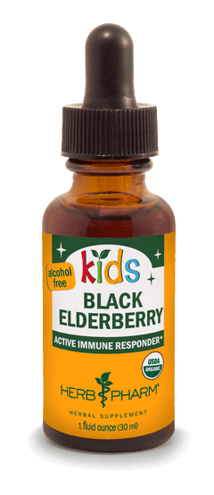 KIDS BLACK ELDERBERRY ALCOHOL FREE 1 fl oz Herb Pharm Supplement - Conners Clinic