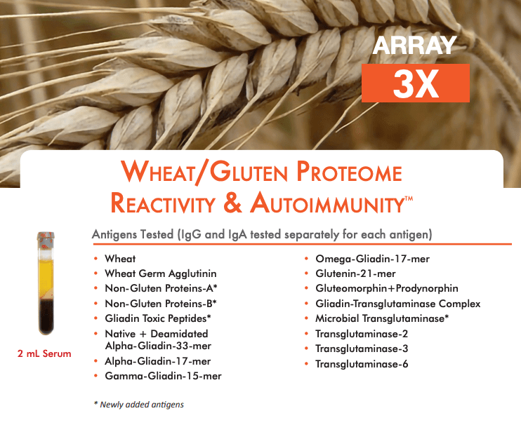 Lab - Cyrex Array 3x - Wheat/Gluten Proteome Reactivity & Autoimmunity Conners Clinic Lab Test Kit - Conners Clinic