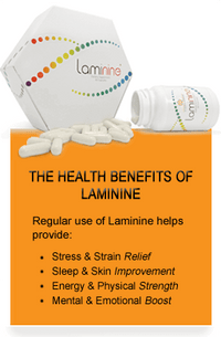 Thumbnail for Laminine - 120 Capsules Conners Clinic Supplement - Conners Clinic