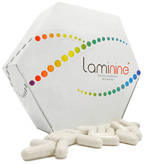 Laminine - 120 Capsules Conners Clinic Supplement - Conners Clinic