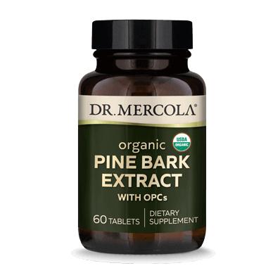 Organic Pine Bark Extract - 60 Tablets Dr. Mercola Supplement - Conners Clinic