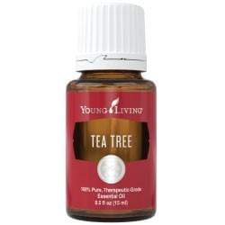 Tea Tree Essential Oil - 15ml Young Living Young Living Supplement - Conners Clinic